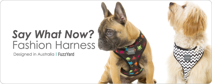 Fashion_Harness