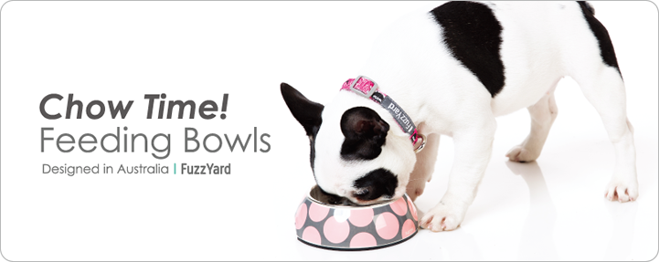 Feeding_Bowls