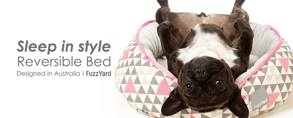 FuzzYard3(ファズヤード)